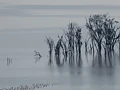 Mystic Lake Nakuru