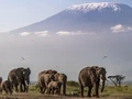 Passing Kilimanjaro