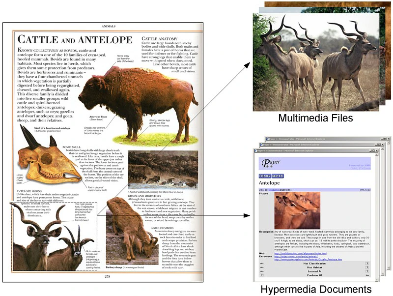 Content types